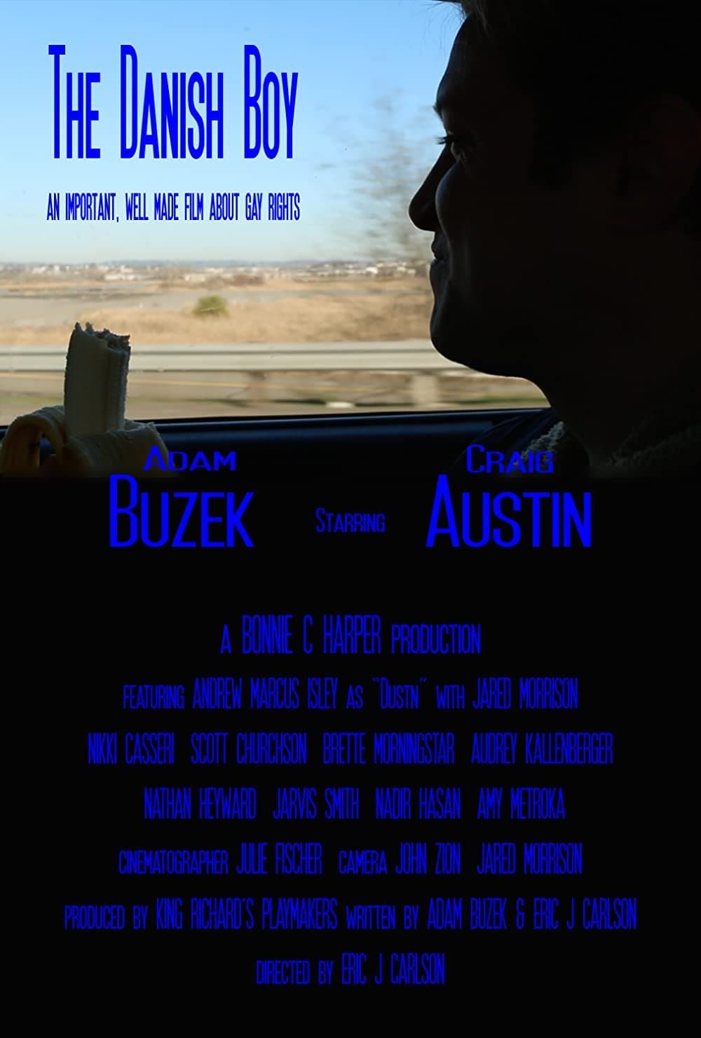 Poster The Danish Boy