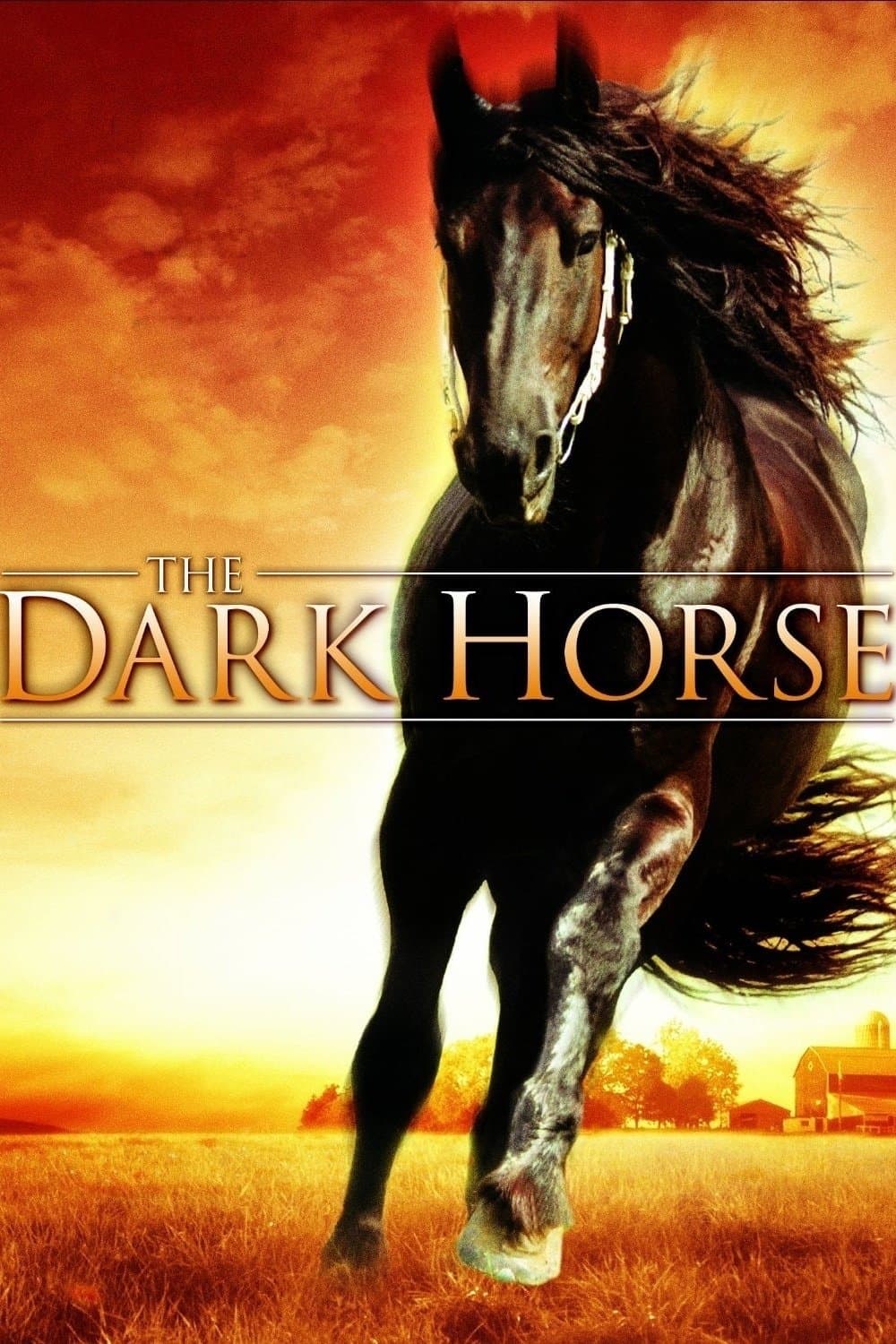 Poster The Dark Horse