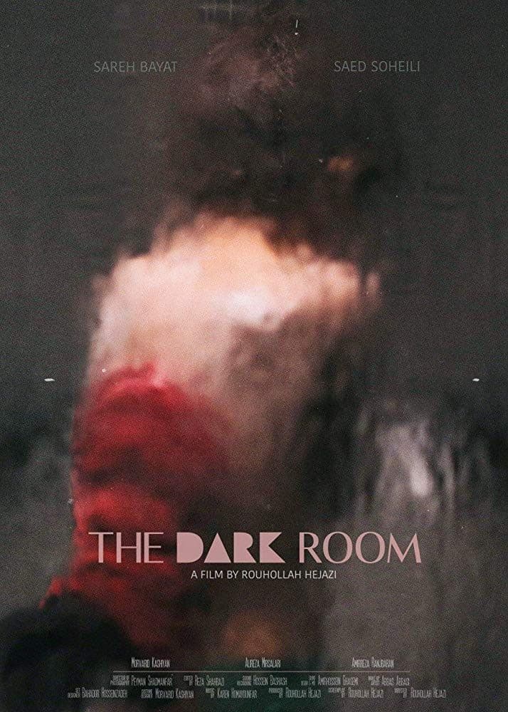 Poster The Dark Room