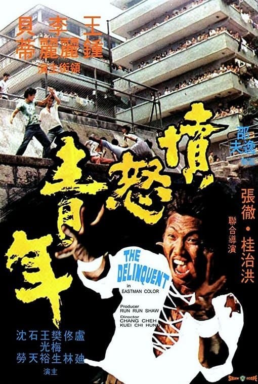 Poster The Delinquent