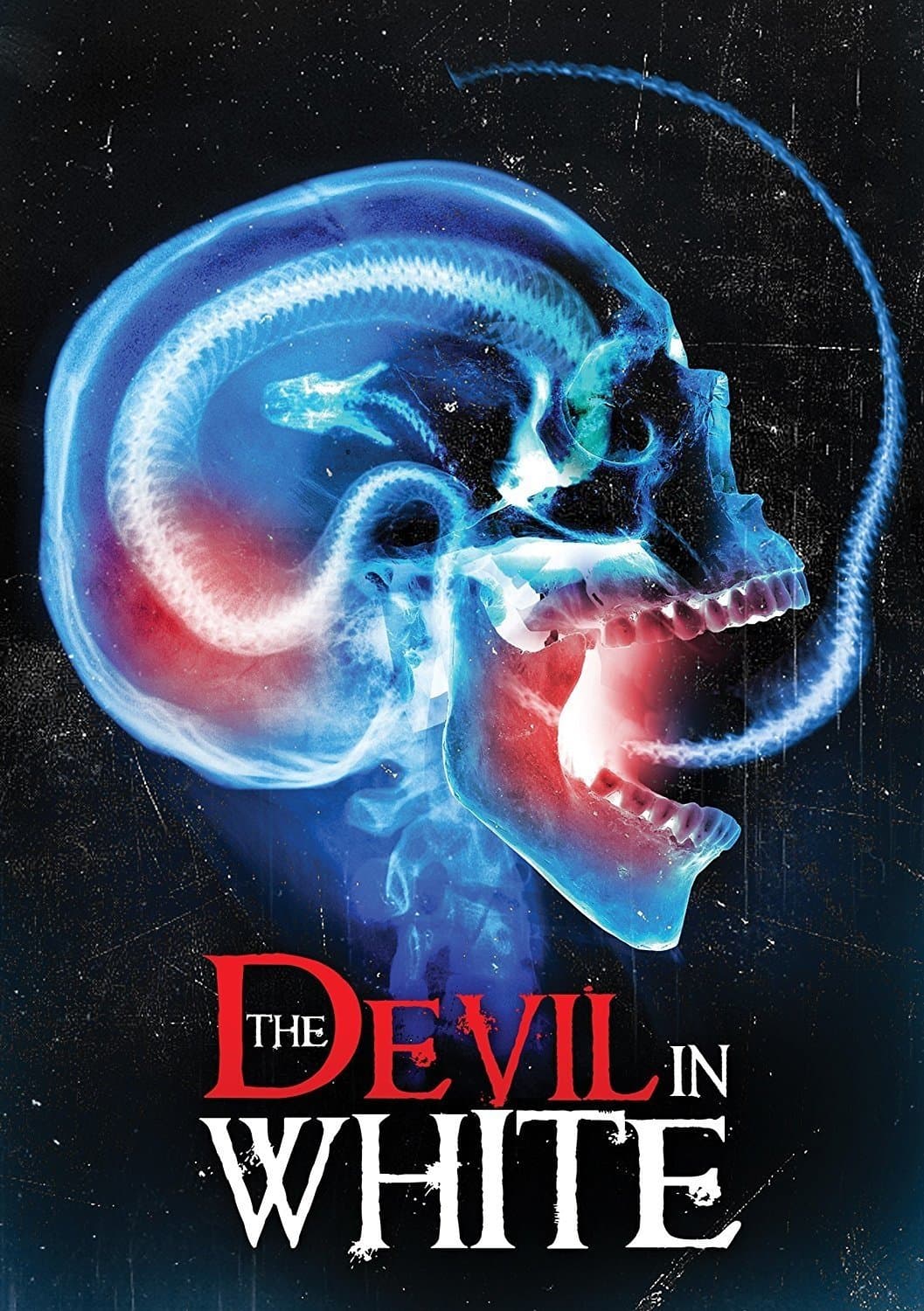 Poster The Devil in White