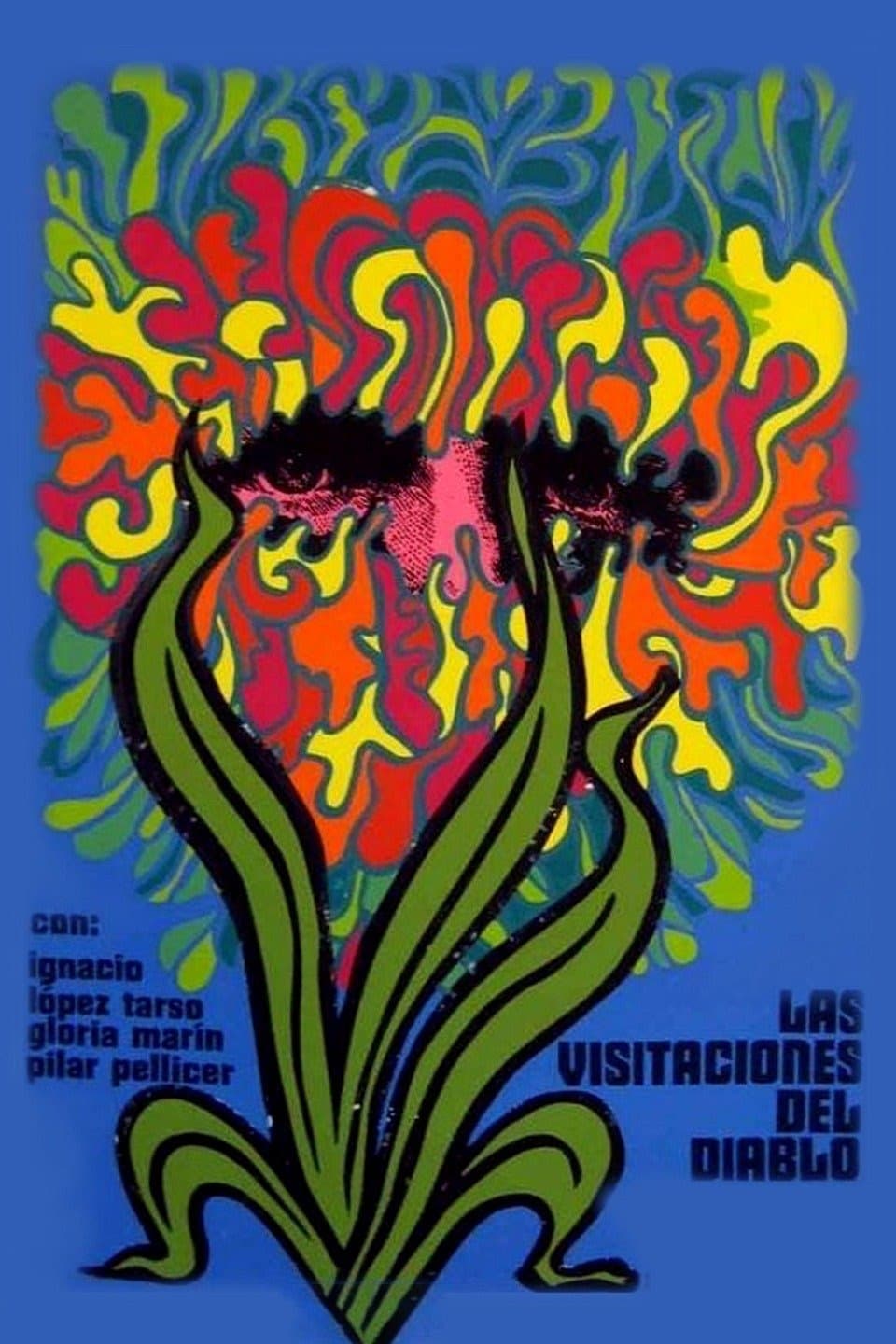 Poster The Devil's Visitations