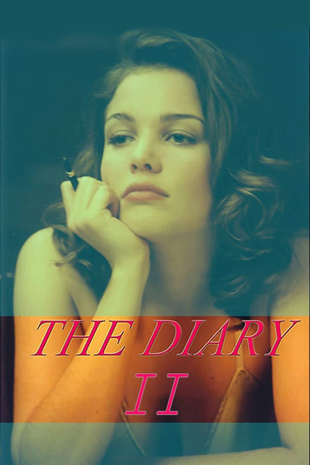 Poster The Diary 2