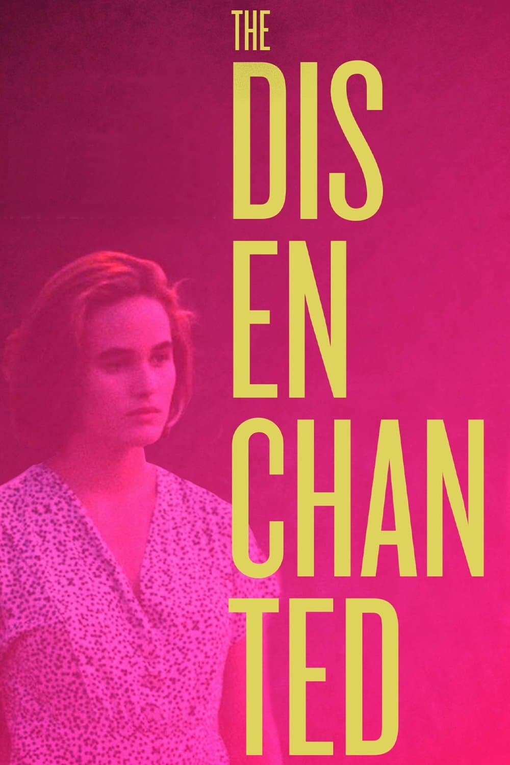 Poster The Disenchanted