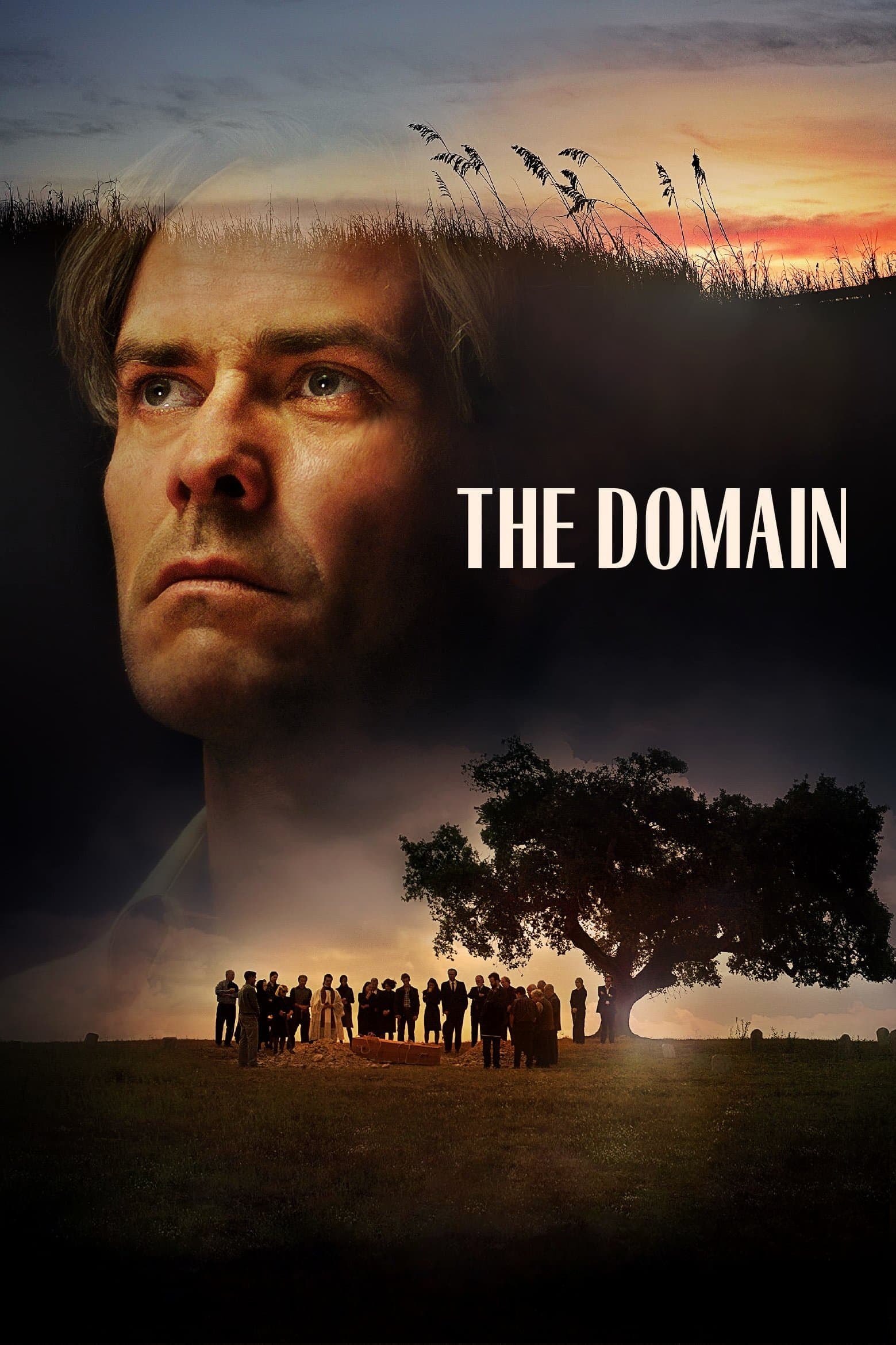 Poster The Domain