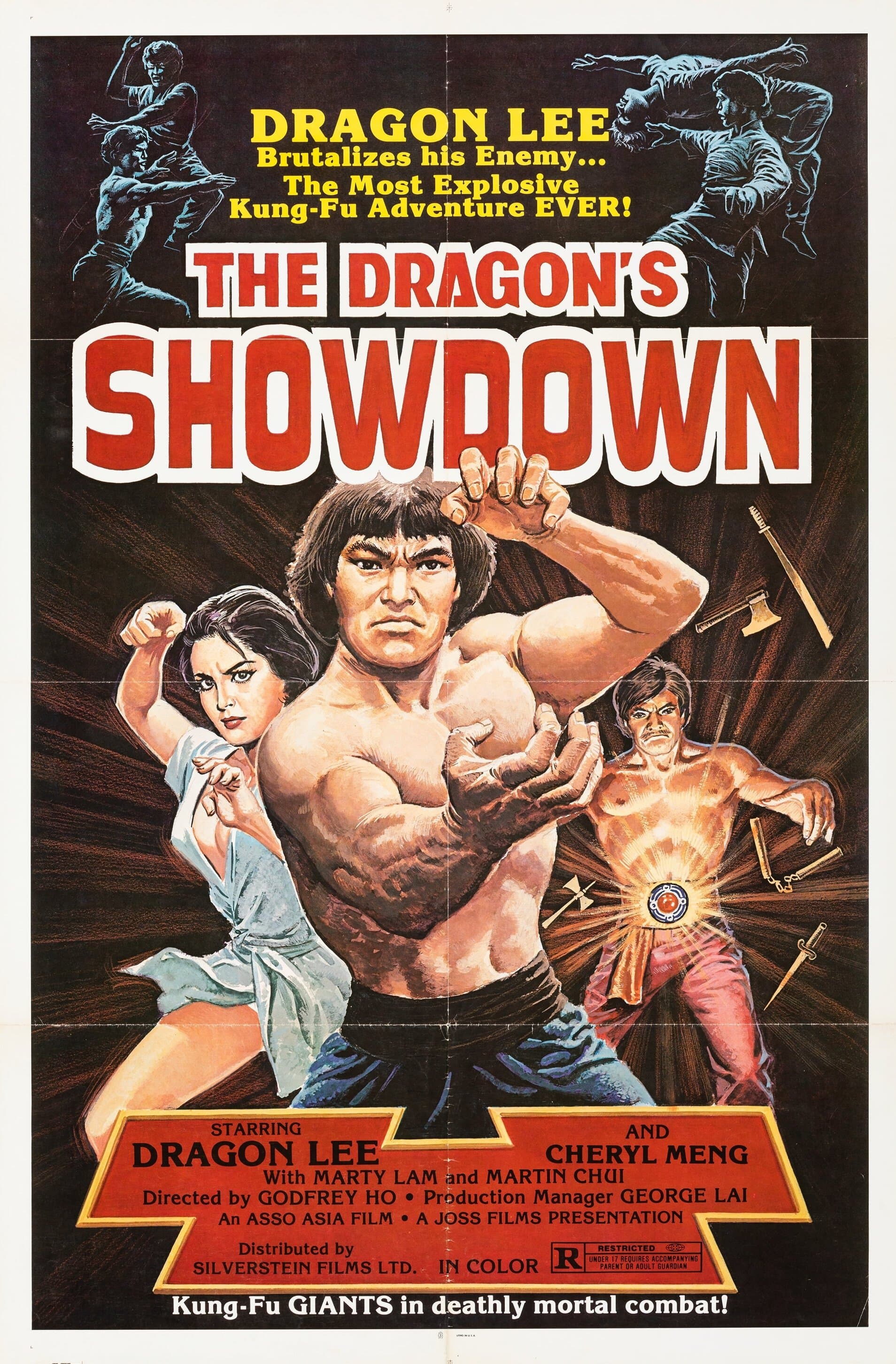 Poster The Dragon's Infernal Showdown