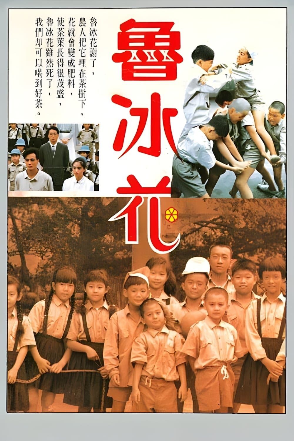 Poster The Dull-Ice Flower