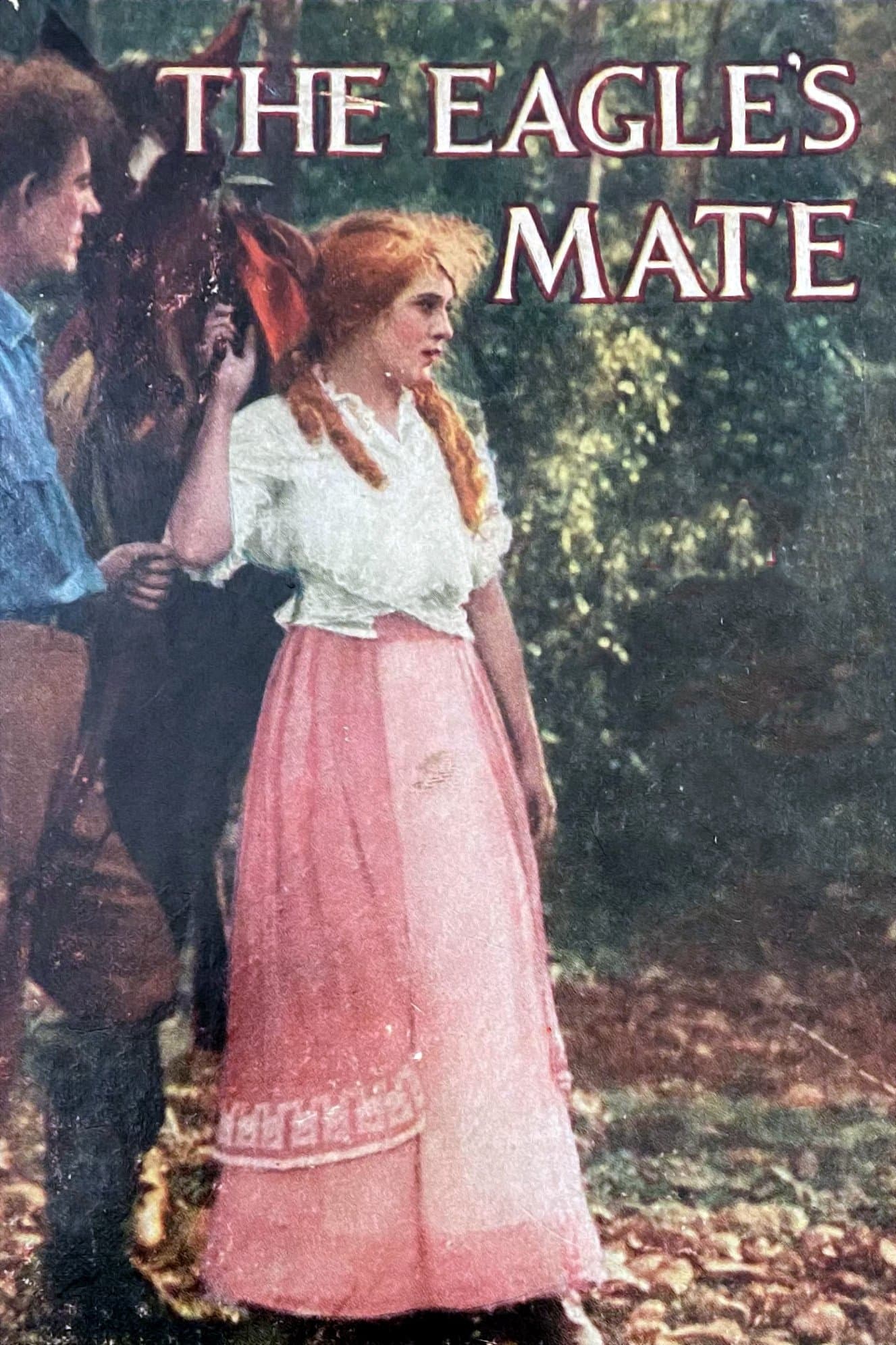 Poster The Eagle's Mate