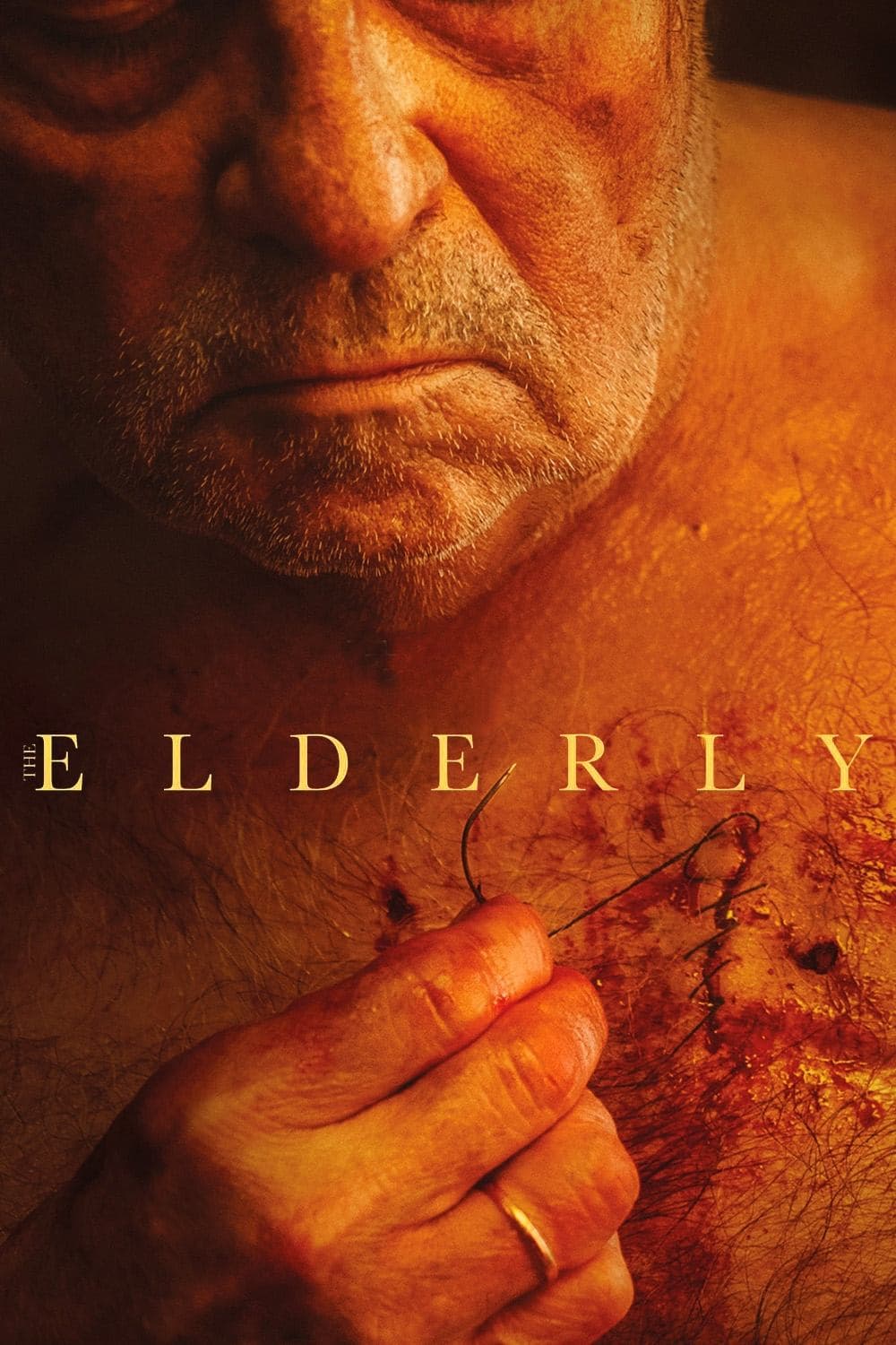 Poster The Elderly
