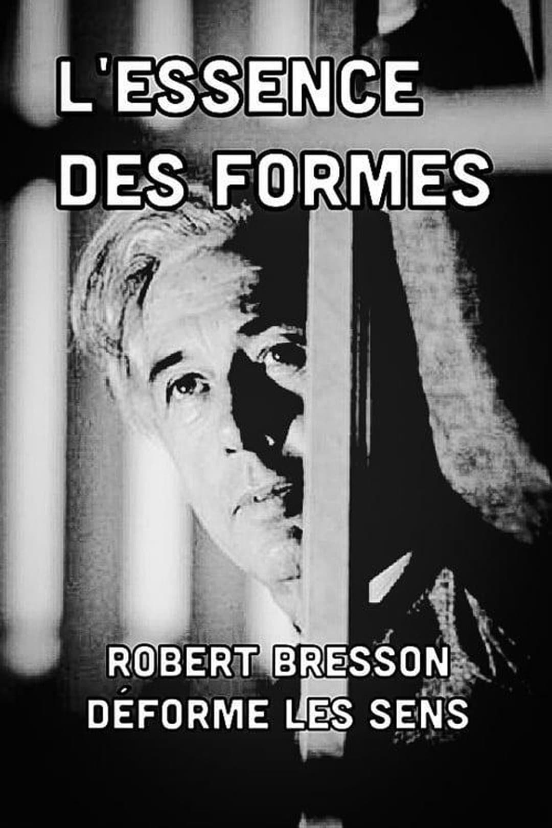 Poster The Essence of Forms
