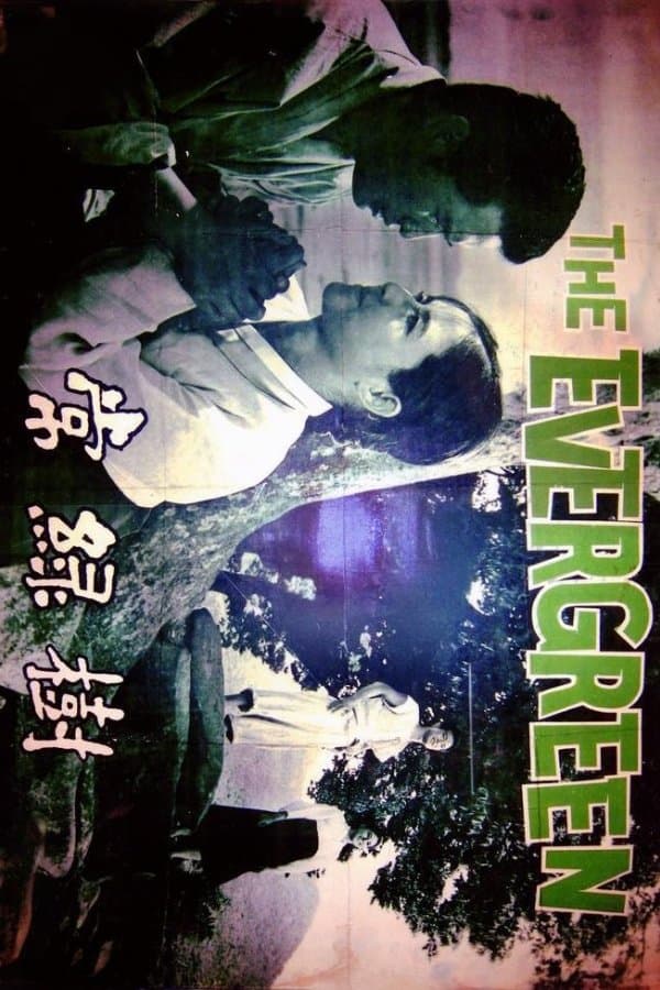 Poster The Evergreen