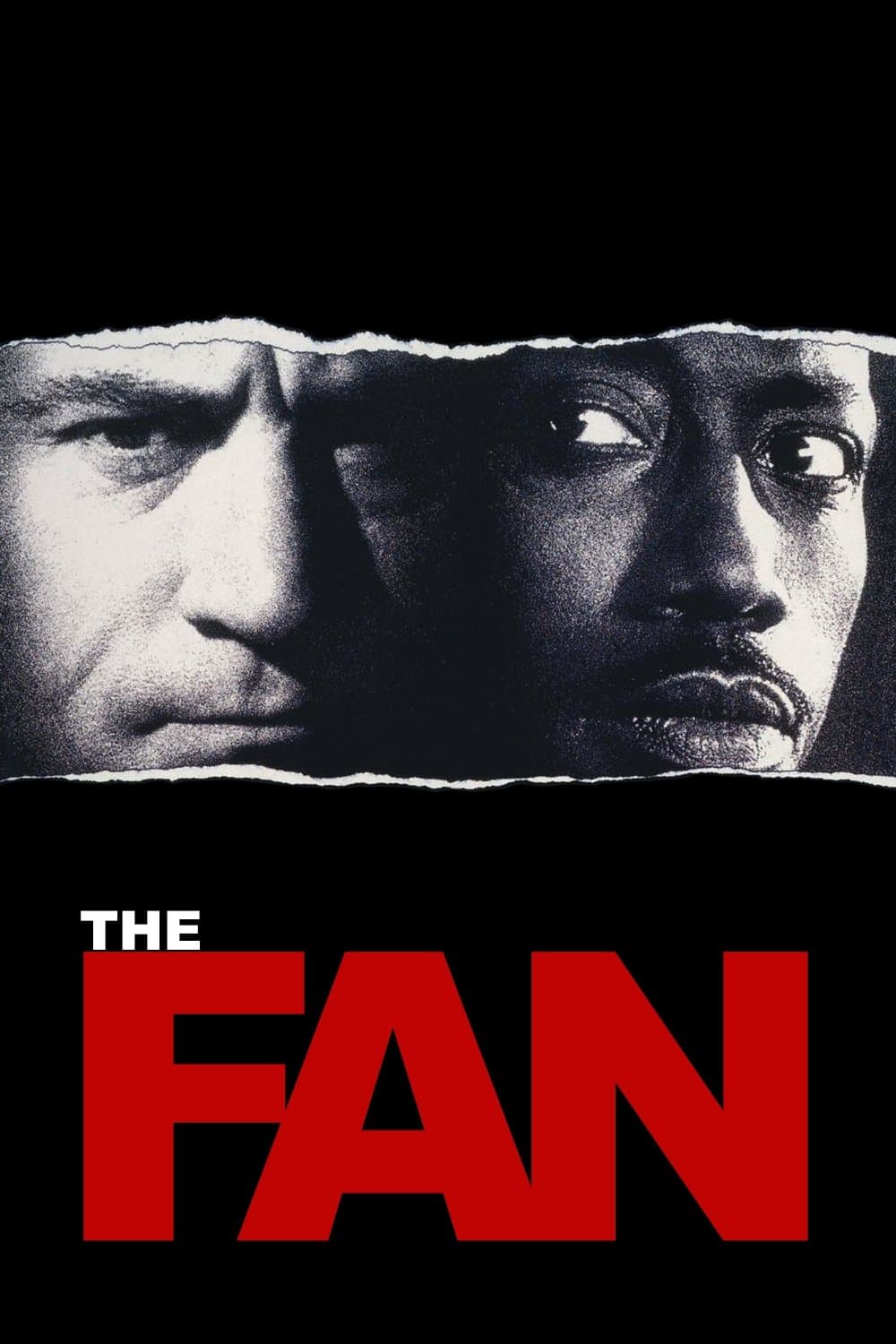 Poster The Fan