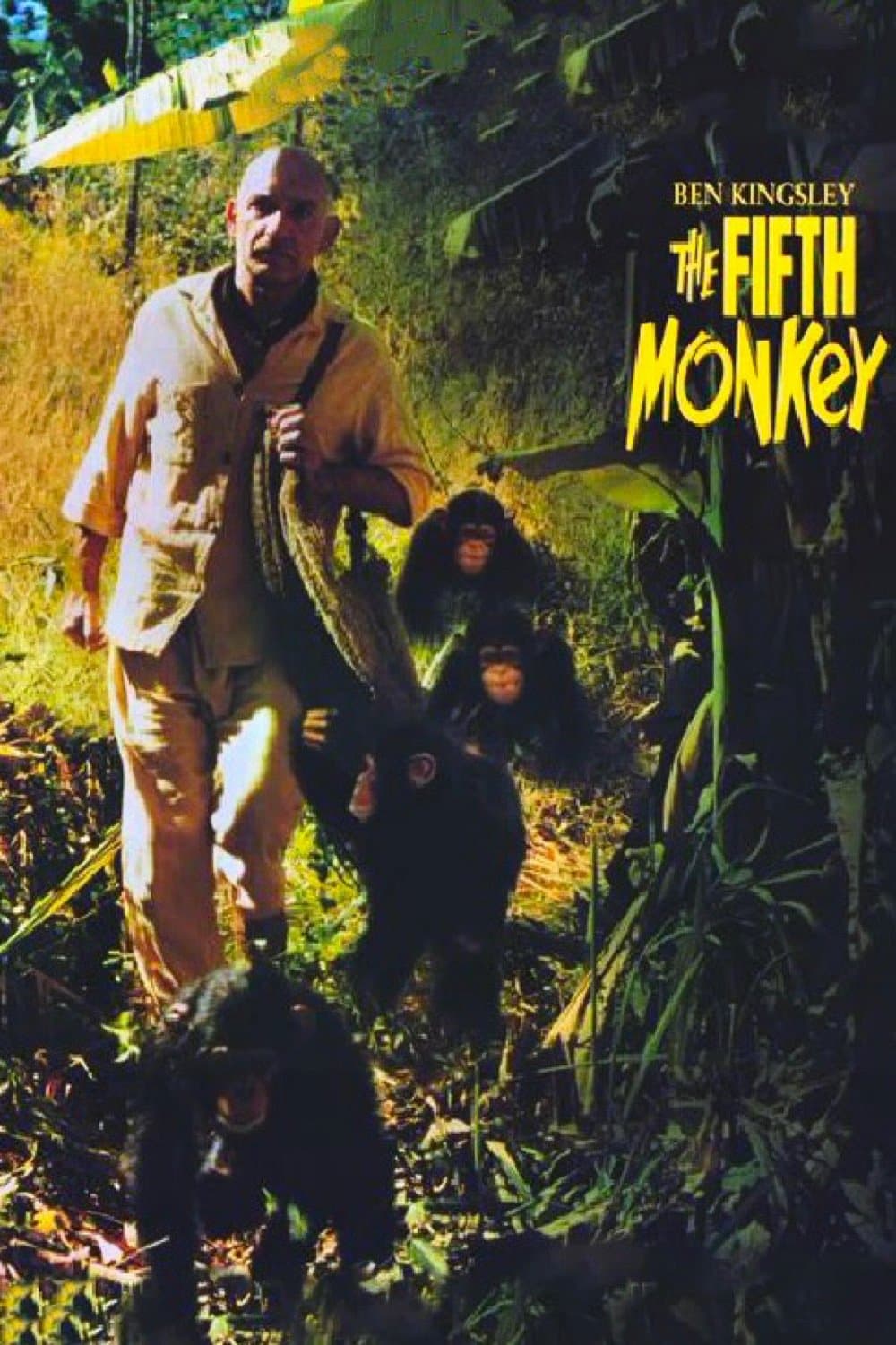 Poster The Fifth Monkey