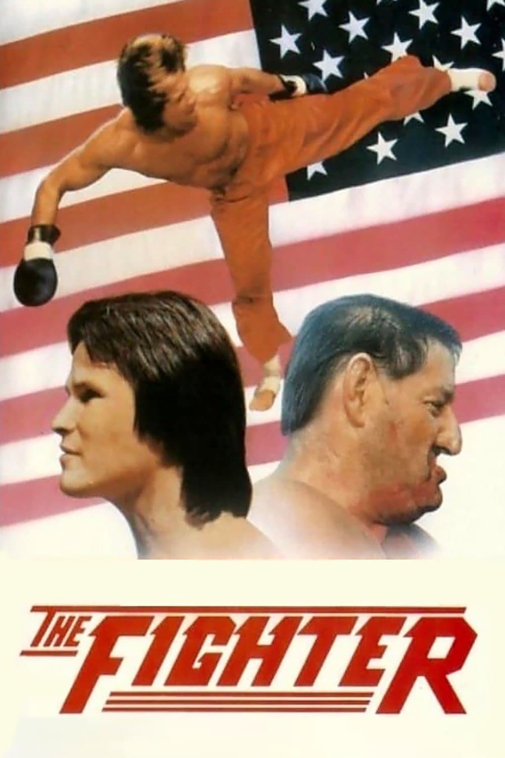 Poster The Fighter