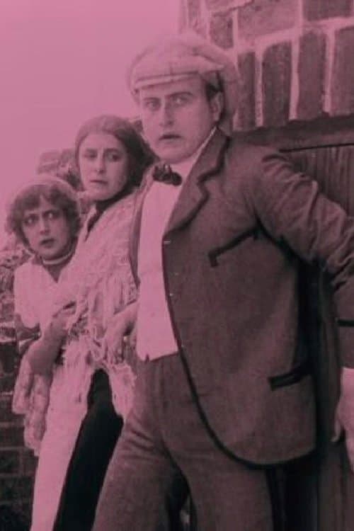Poster The Firefly
