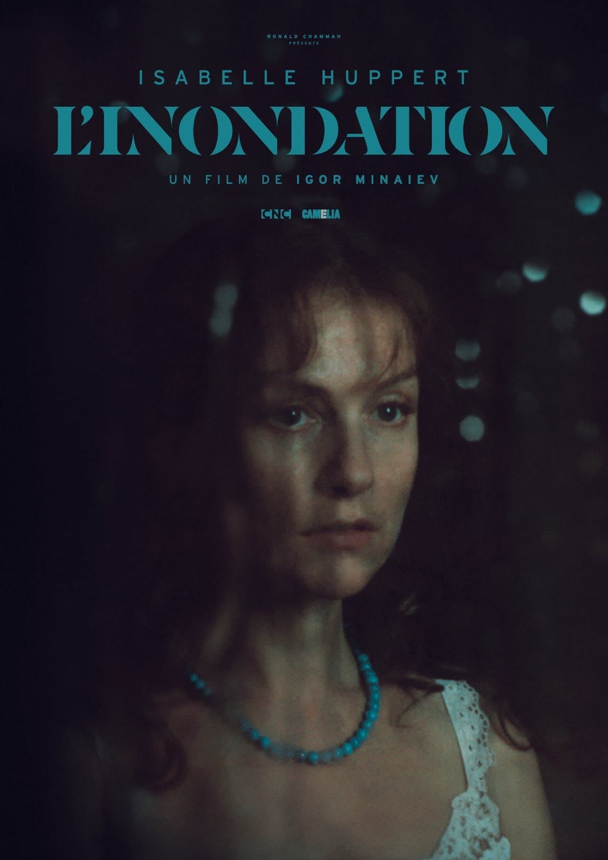 Poster The Flood