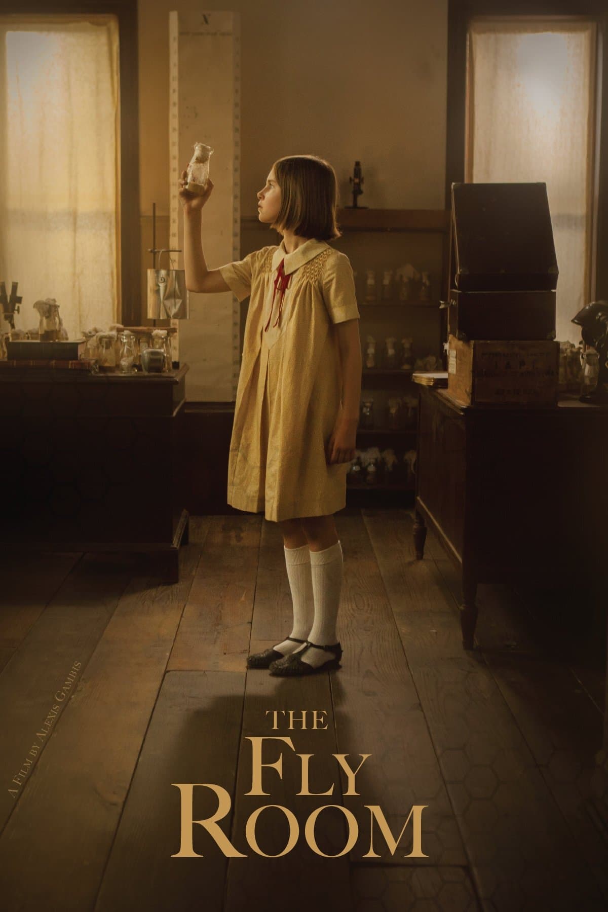 Poster The Fly Room