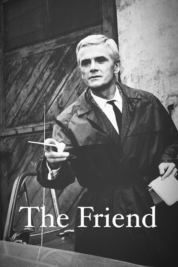Poster The Friend