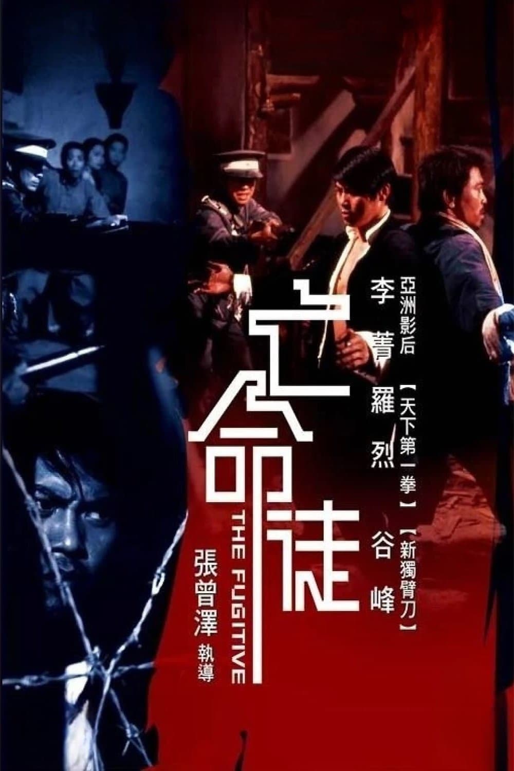 Poster The Fugitive