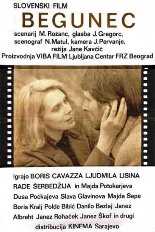 Poster The Fugitive