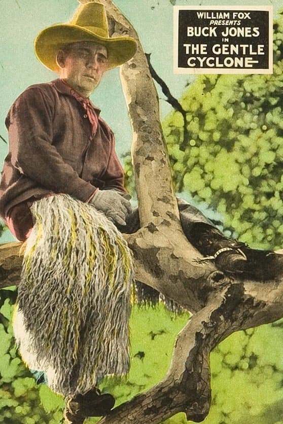 Poster The Gentle Cyclone