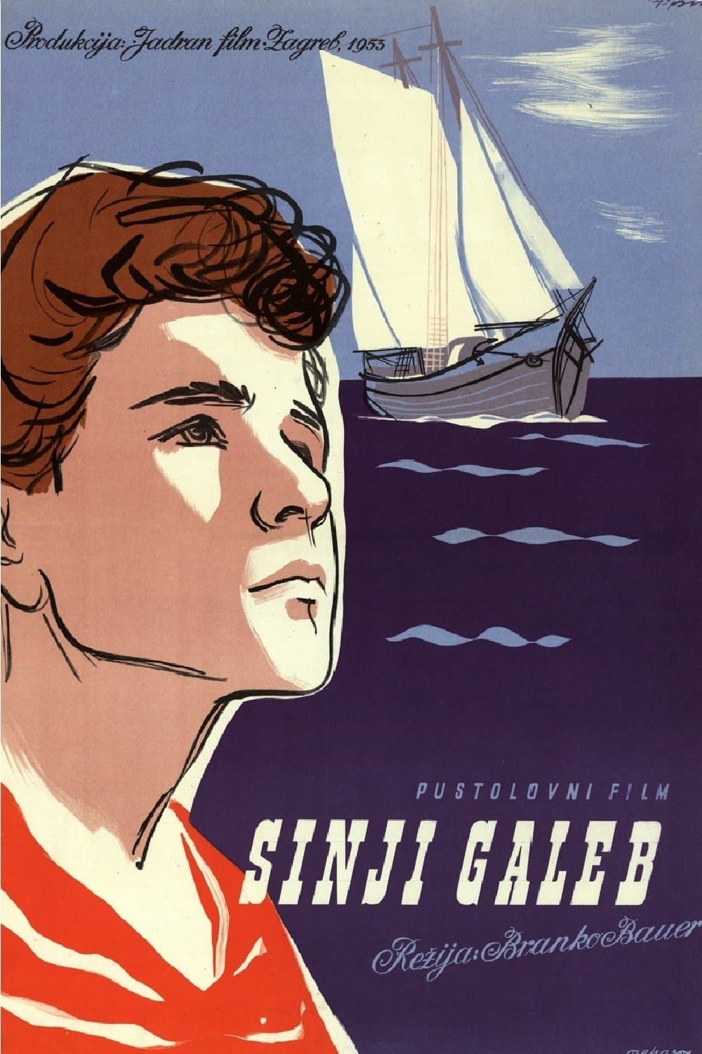 Poster The Grey Seagull