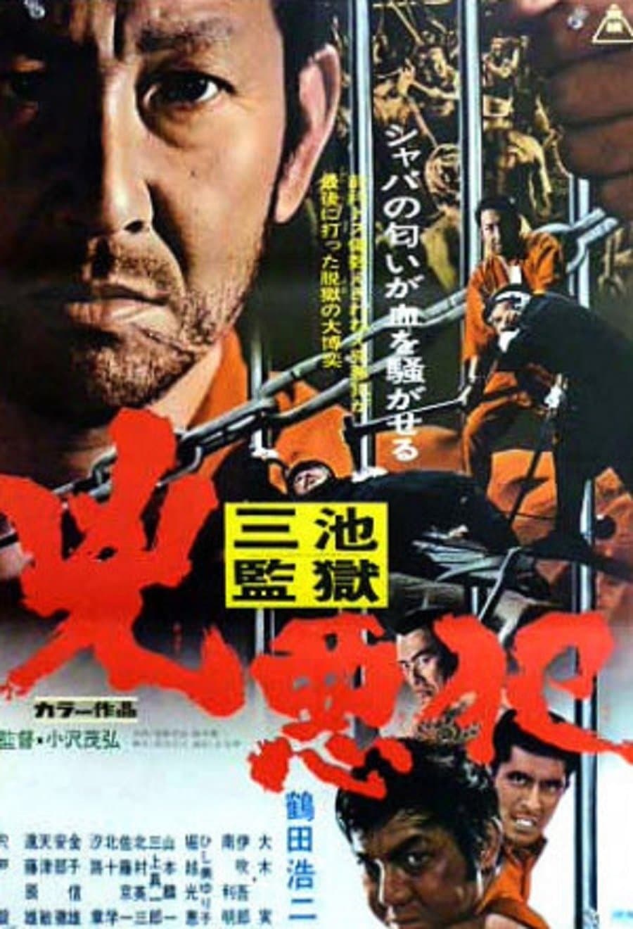 Poster The Hard Core Criminal