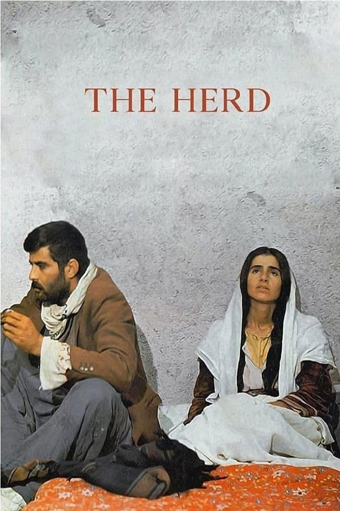 Poster The Herd