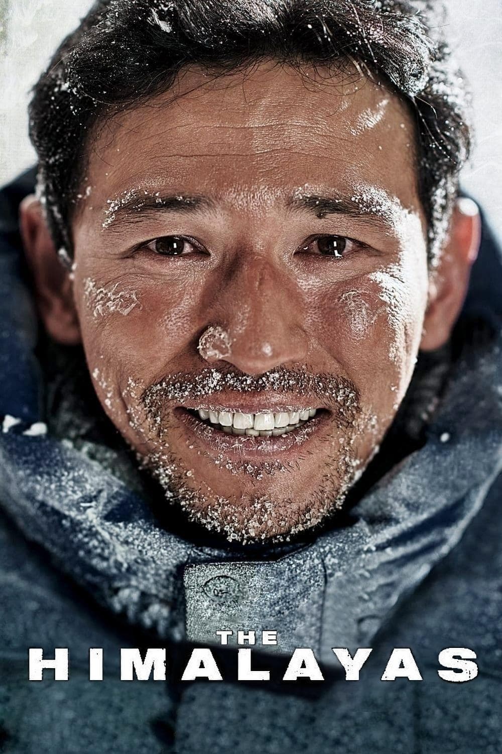 Poster The Himalayas