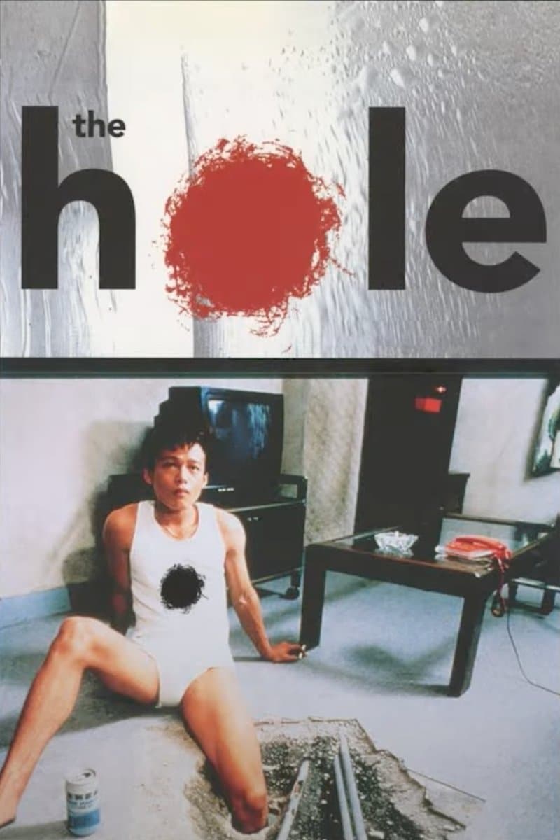 Poster The Hole