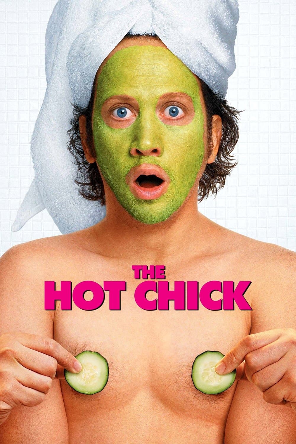 Poster The Hot Chick