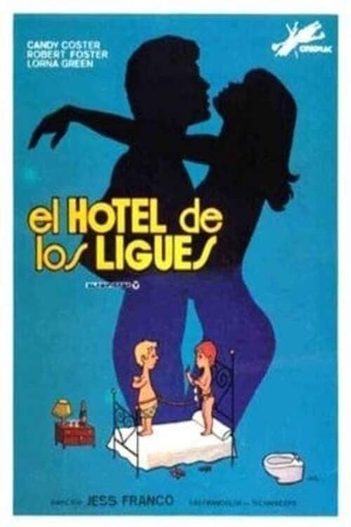 Poster The Hotel of Love Affairs