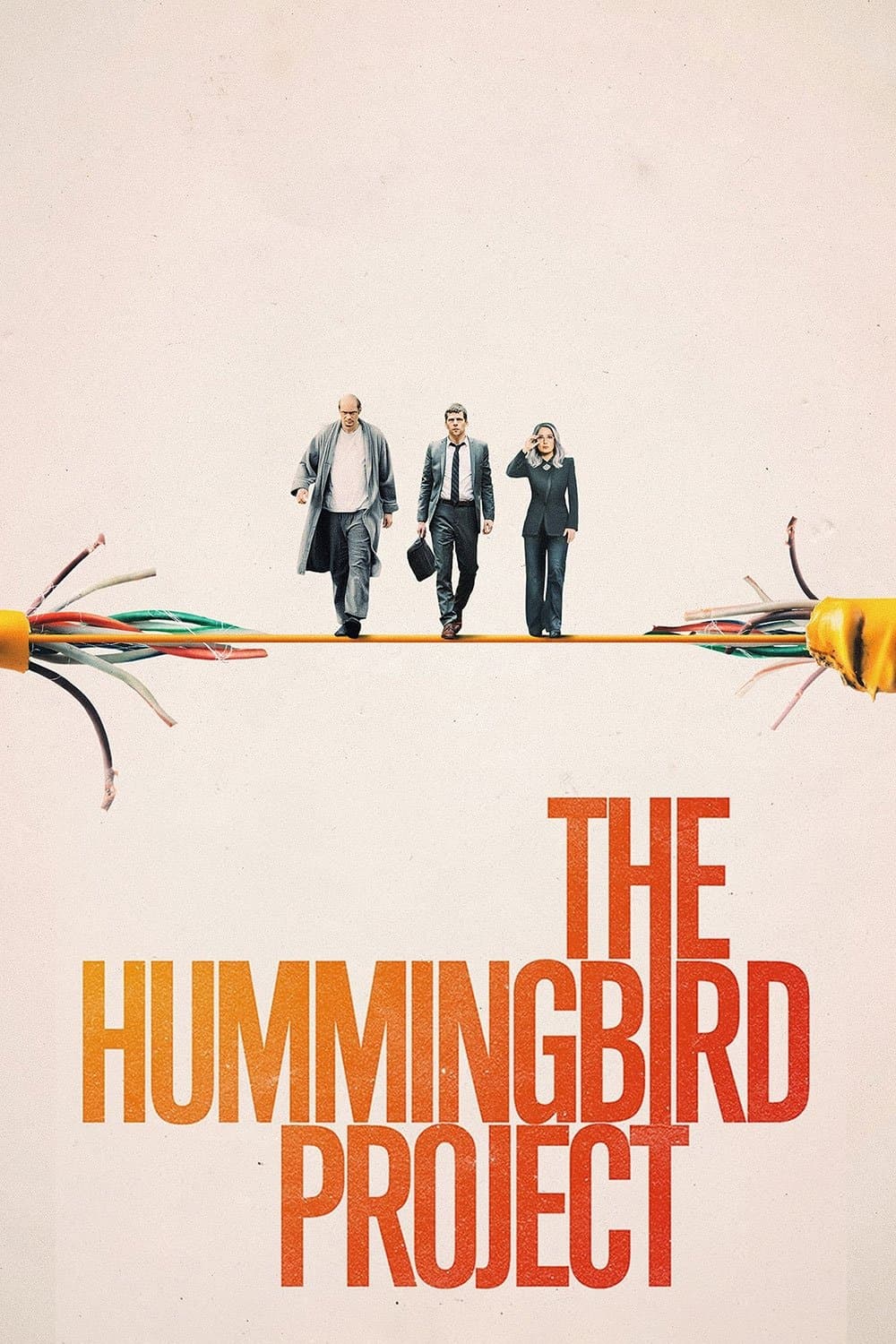 Poster The Hummingbird Project