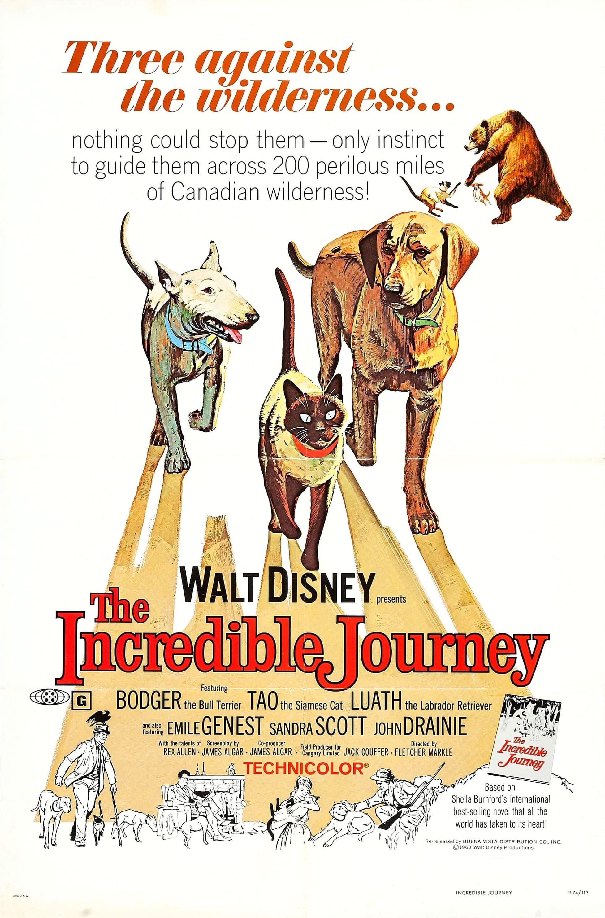 Poster The Incredible Journey