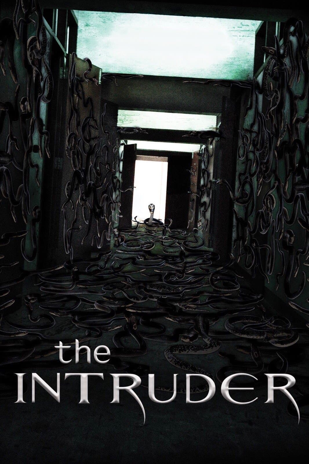 Poster The Intruder