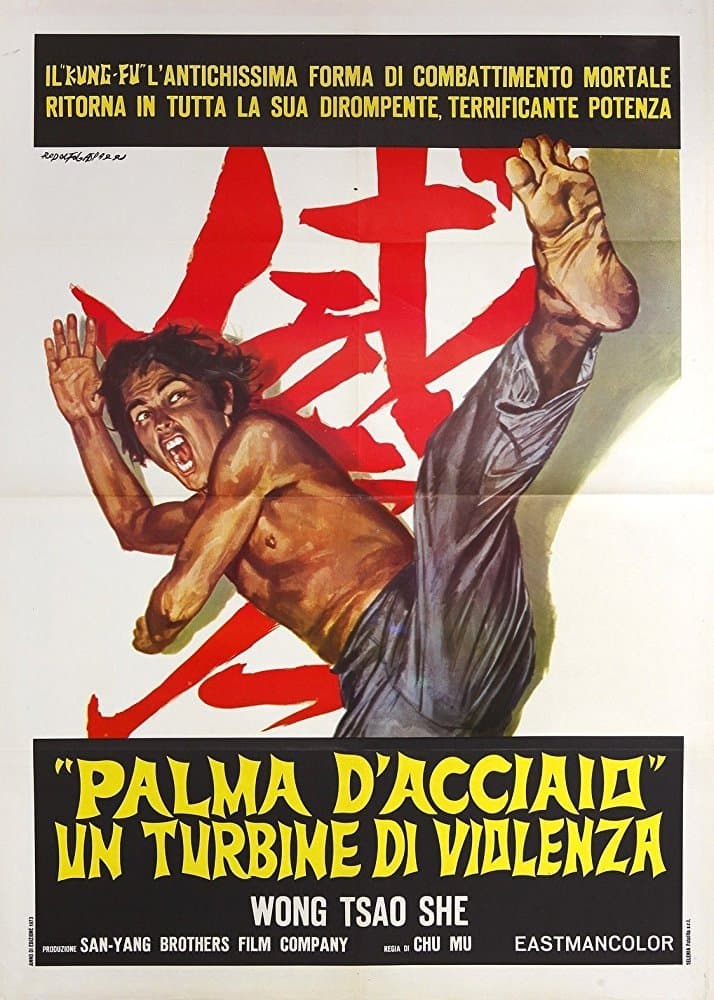 Poster The Invincible Iron Palm