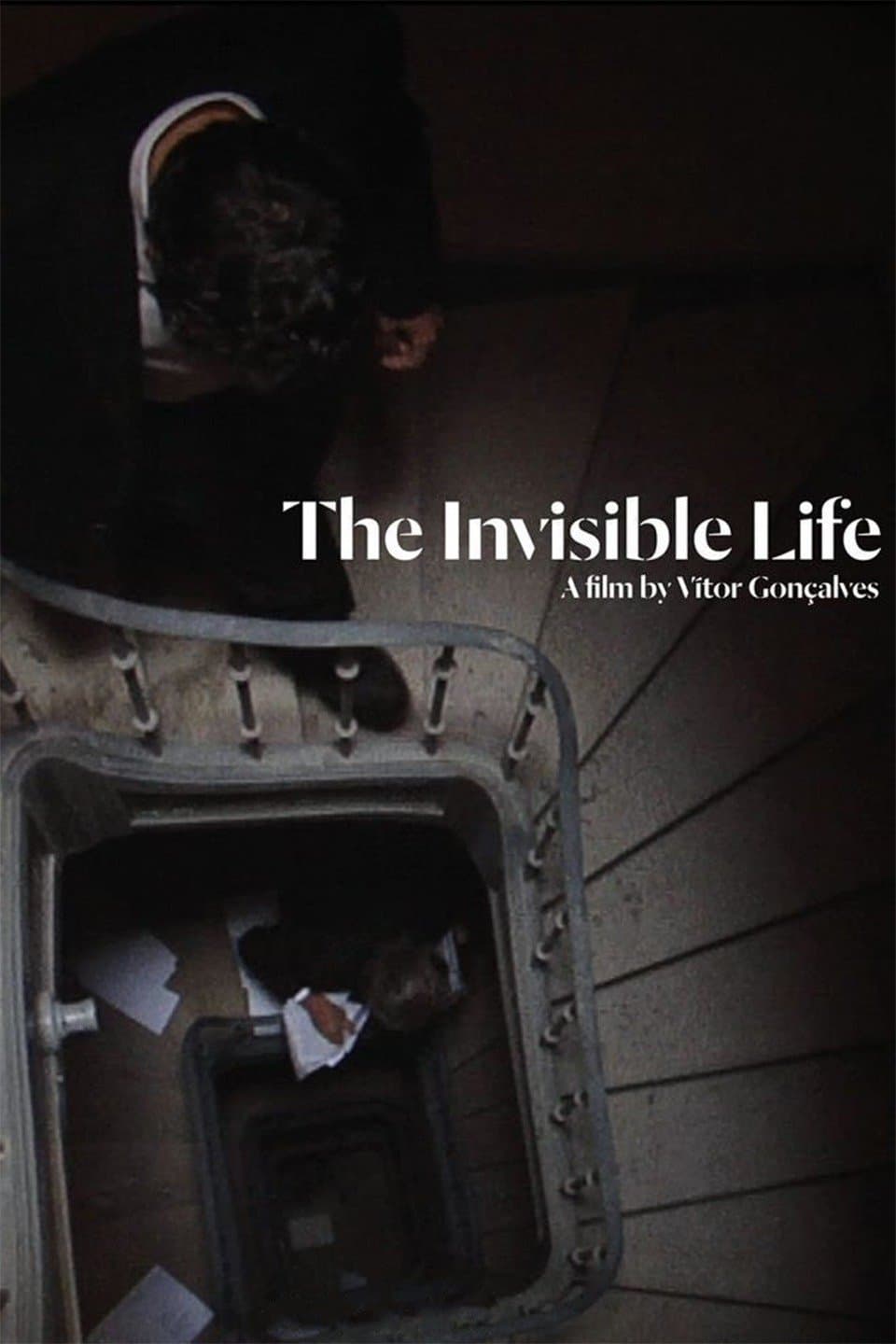 Poster The Invisible Life