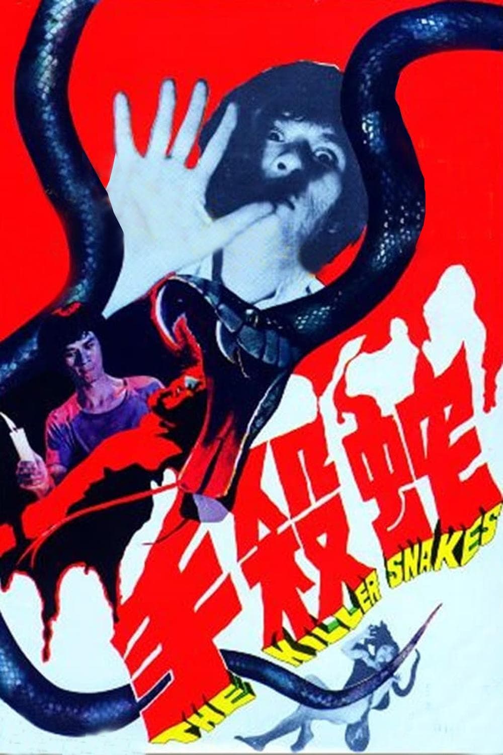 Poster The Killer Snakes