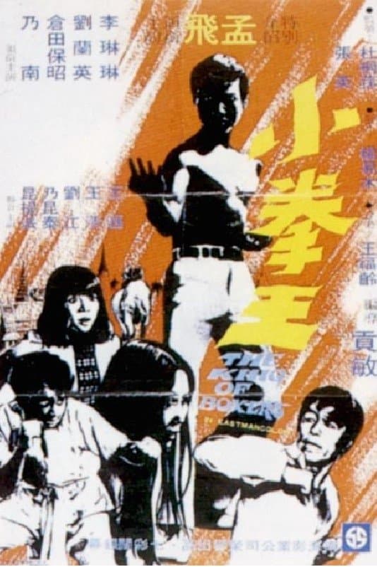 Poster The King of Boxers