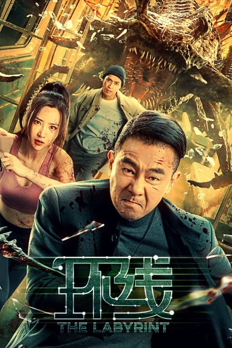 Poster The Labyrinth