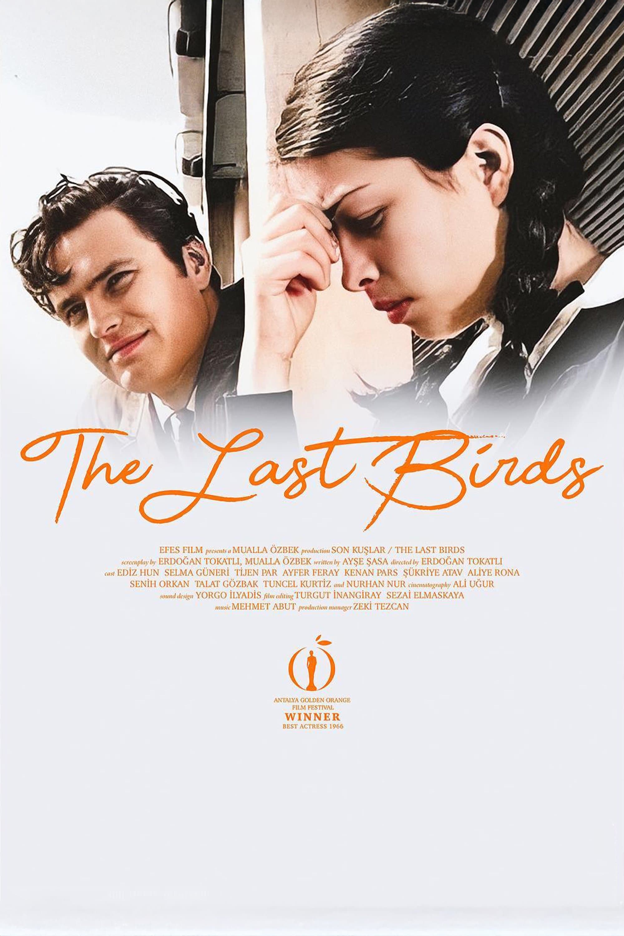 Poster The Last Birds