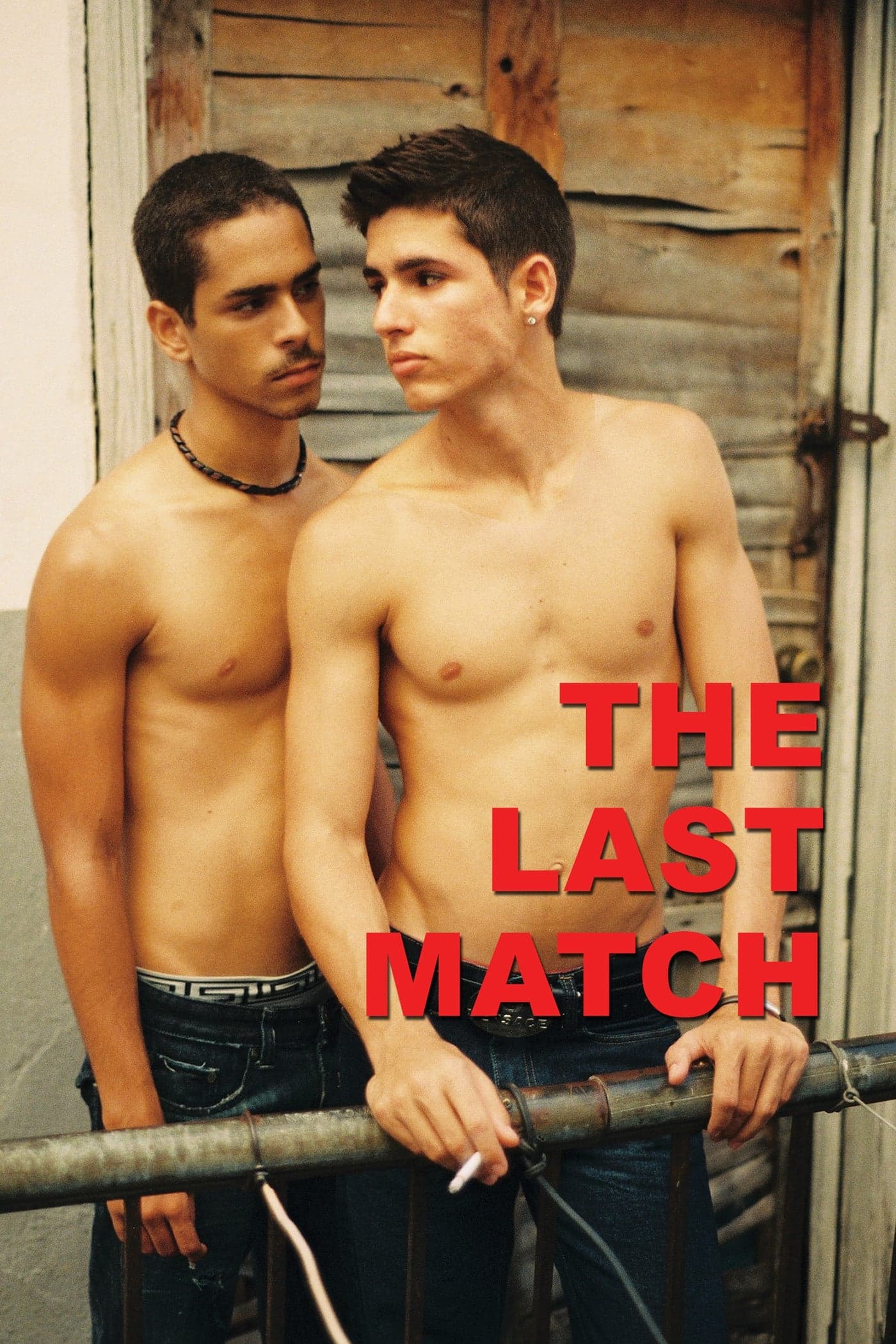 Poster The Last Match