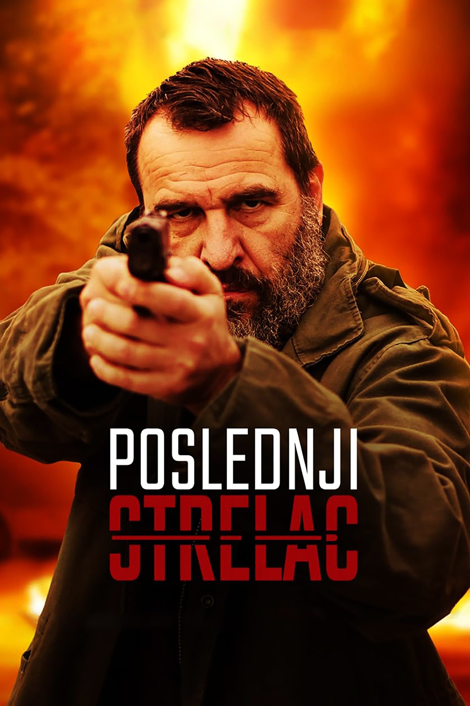 Poster The Last Shooter