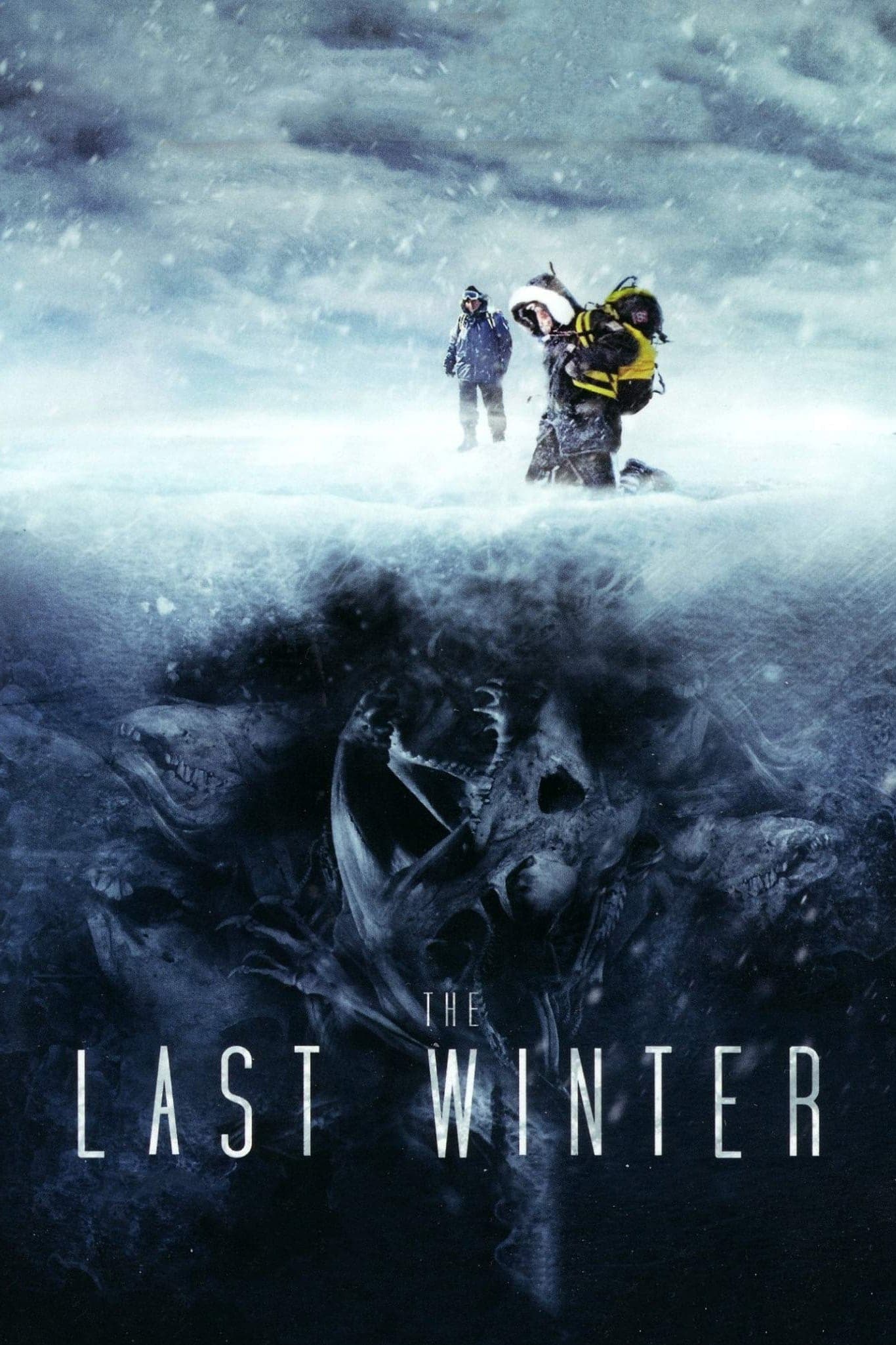 Poster The Last Winter