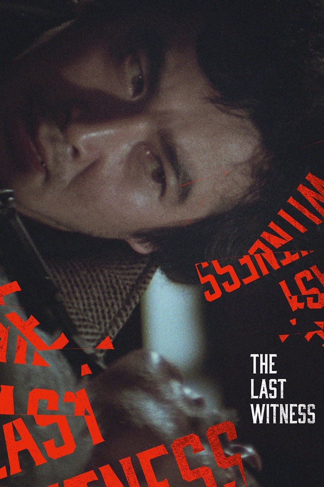 Poster The Last Witness