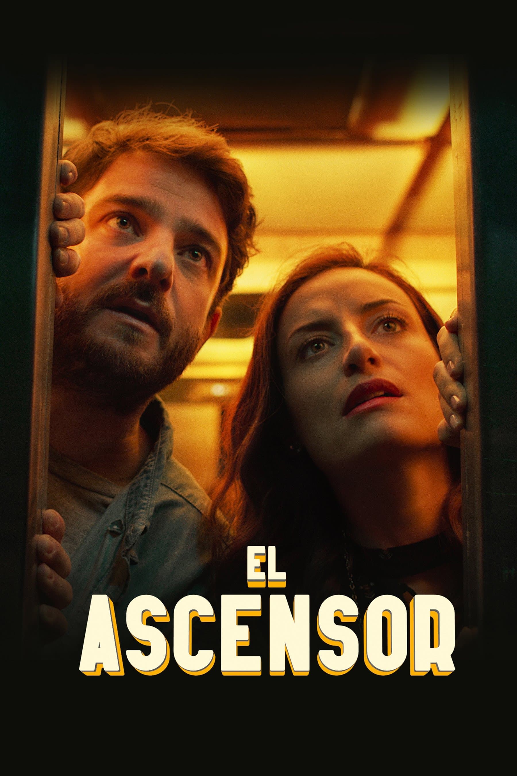 Poster The Lift
