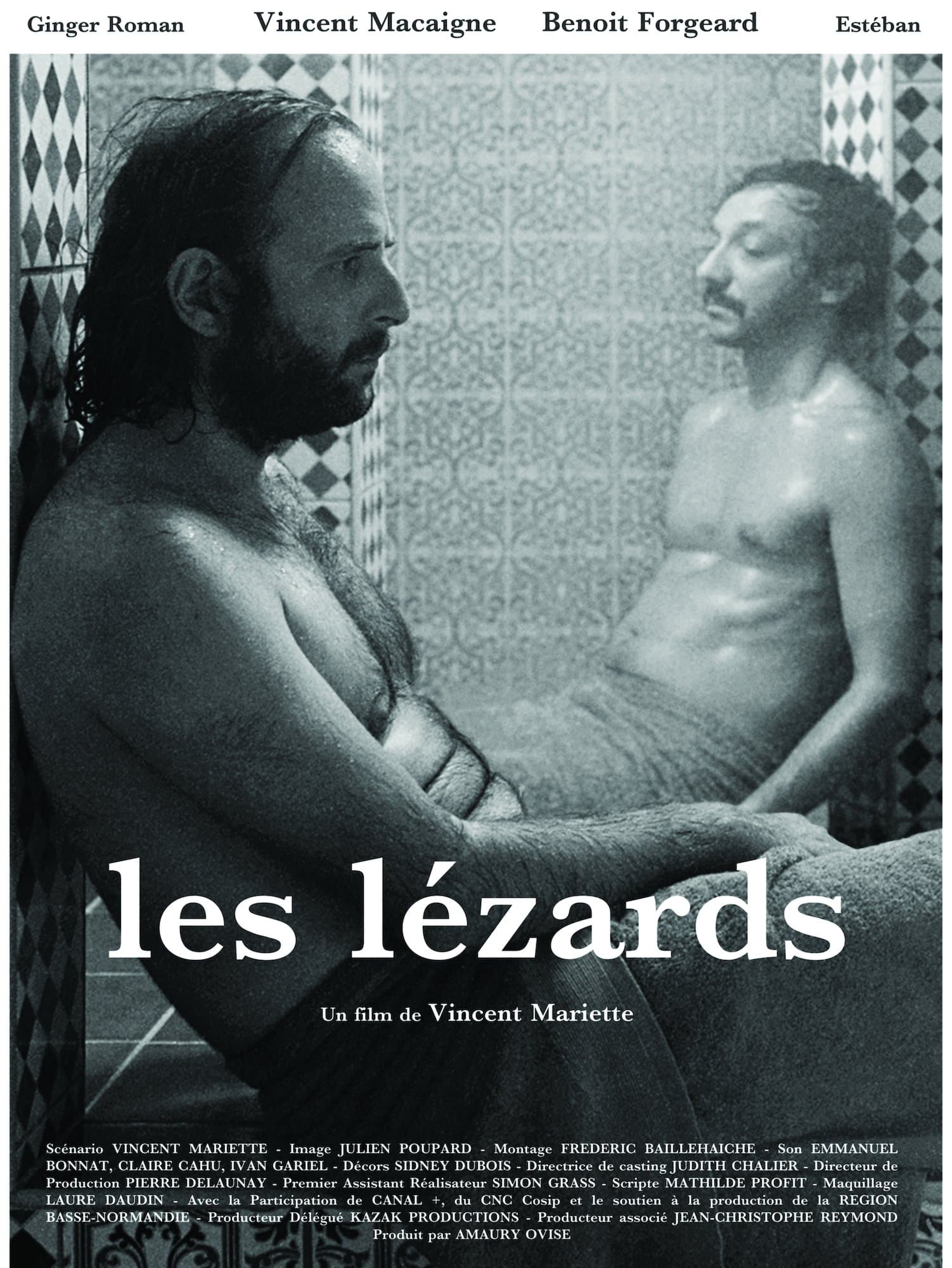 Poster The Lizards