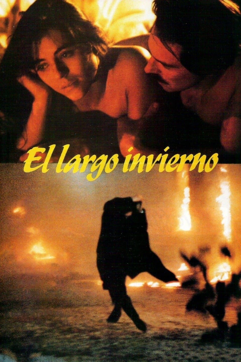 Poster The Long Winter