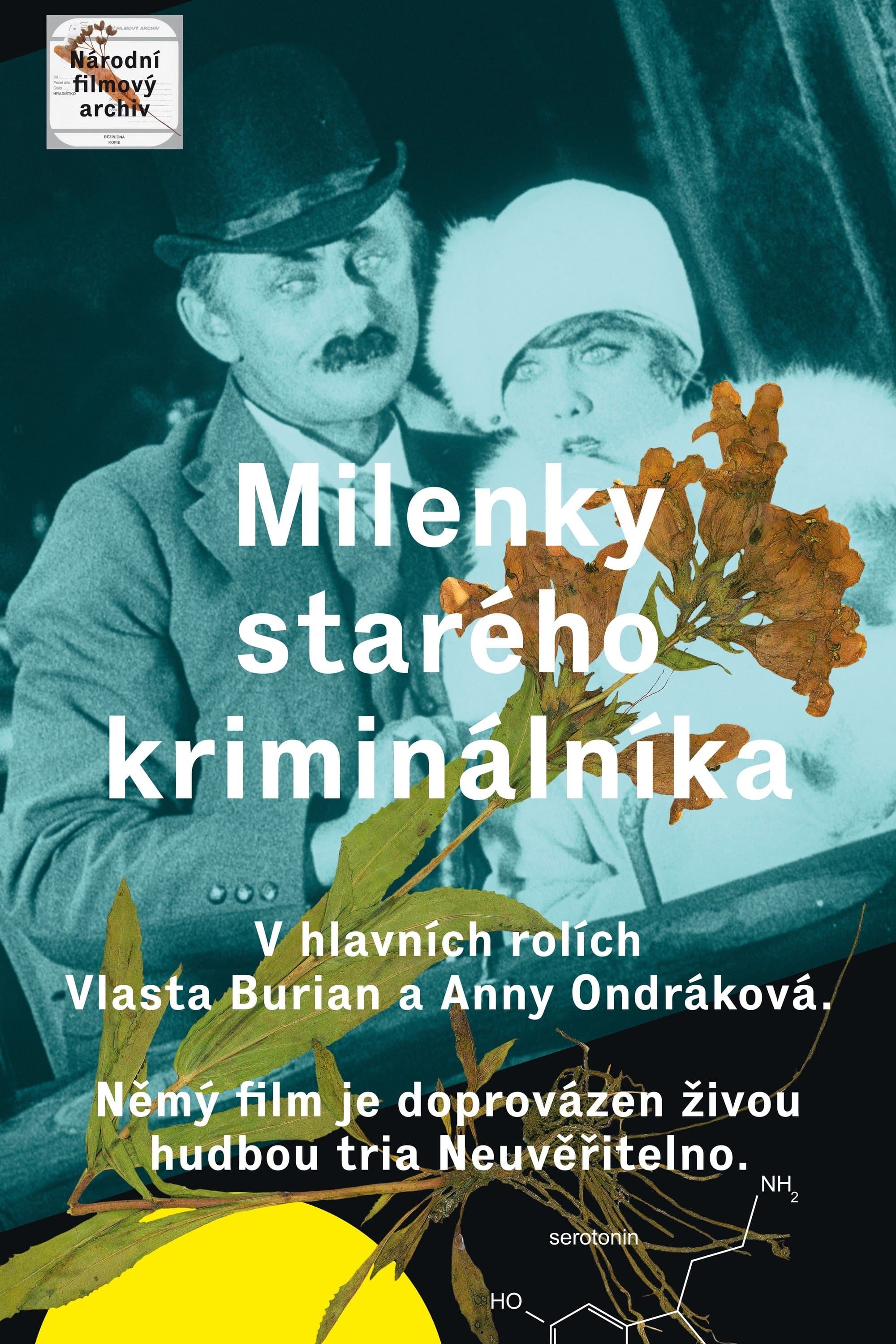 Poster The Lovers of an Old Criminal