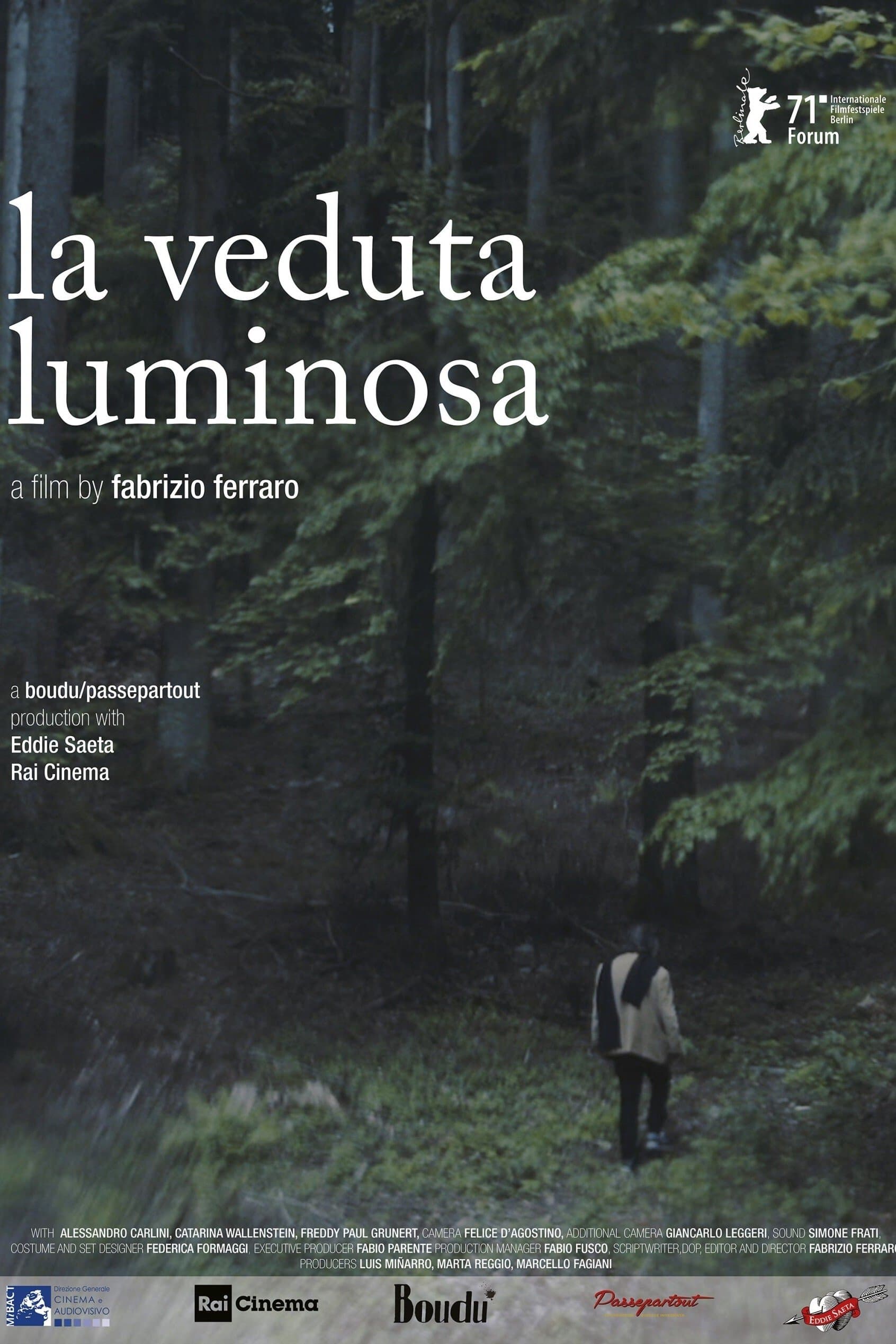Poster The Luminous View